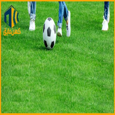 artificial grass چمن مصنوعی