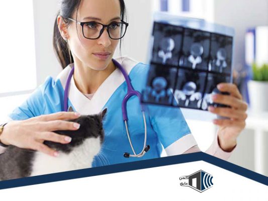کلینیک-اکوستیک-دامپزشکی