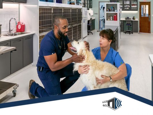 کلینیک-دامپزشکی