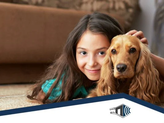 عایق صدا پت شاپ