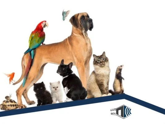 عایق صدا پت شاپ